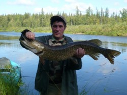 Рыбалка в Красноярском крае. В прилове очень много круной щуки.