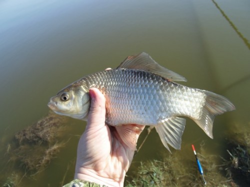 Рыбалка в мае на озере Чаны