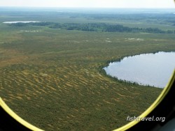 Таежное озеро Томская область.