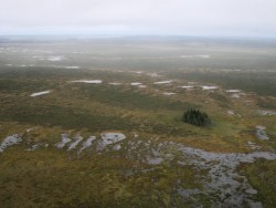Сибирская тайга и Васюганские болота.