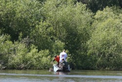 Рыбалка на щуку в июле на базе Клевое место в Сузунском районе НСО.