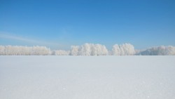 Прогулки на снегоходах по белоснежному снегу.