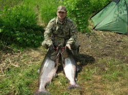 Рыболовный тур на Камчатку "Королевский лосось". Чавыча 21 и 22 кг.