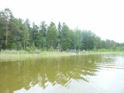 Озеро Глухое в Томской области.