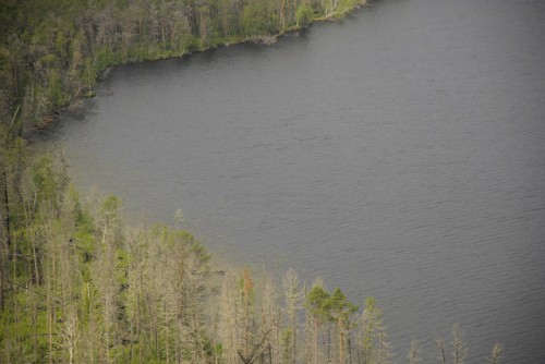 Озеро Щучье. Каргасокский раон Томской области.
