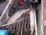 Рыбалка в Сузуне