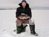 Окунь 1,2 кг. на мормышку. Окунь 1,2 кг. на мормышку.