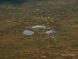 Томская область Томская область