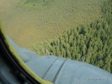 Томская область Томская область