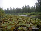 Рыбалка в Красноярском крае Рыбалка в Красноярском крае