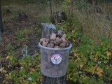 Рыбалка Сибирь Рыбалка Сибирь