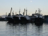 Морская прогулка Камчатка Морская прогулка Камчатка