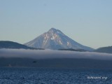 Морская прогулка Камчатка Морская прогулка Камчатка