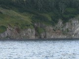 Авачинский залив Экскурсия Авачинский залив Экскурсия