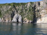 Морские прогулки
