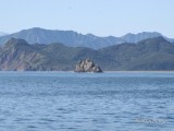 Морские прогулки