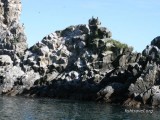 Камчатка Морская рыбалка