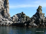 Морская рыбалка Камчатка