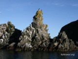 Морская рыбалка на Камчатке