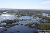 Обские разливы. Обские разливы.
