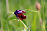 Пейзажи Камчатского края.