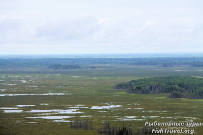 РТК-2010