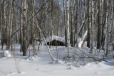 Зимник на озеро Большое Белое пролегает по таежной местности