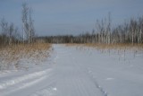 Зимник до озера Белое пролегает по таежной местности и болотам
