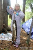 РТК-2010 РТК-2010