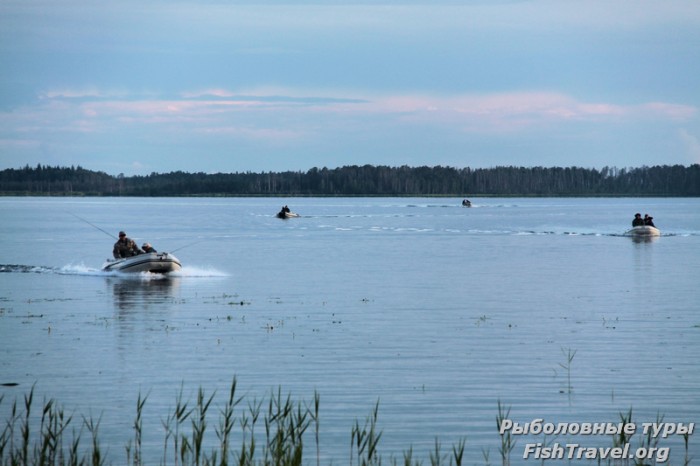 РТК-2010