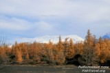Рыболовные туры на Камчатку. Рыболовные туры на Камчатку.