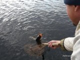 Рыбалка в Сибири Рыбалка в Сибири