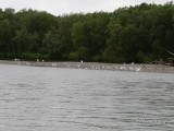 Рыбалка на Камчатке
