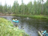Сплав