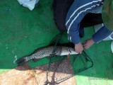 Круизы по Байкалу