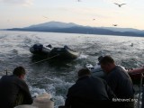 Круизы по Байкалу Круизы по Байкалу