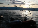 Круизы по Байкалу Круизы по Байкалу