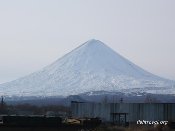 Рыбалка на Камчатке