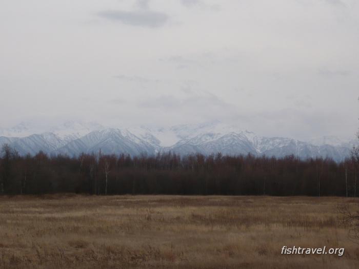 Рыбалка на Камчатке