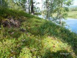 отличная рыбалка