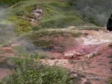в Долине Гейзеров на Камчатке в Долине Гейзеров на Камчатке