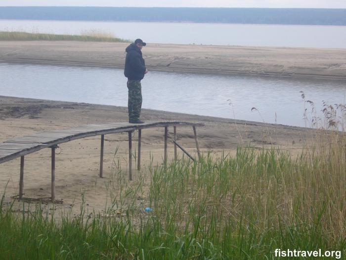 Новый Шарап 2008