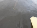 Вертолетные туры Вертолетные туры