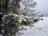 Томская область озеро Елань. Май 2010. Томская область озеро Елань. Май 2010.
