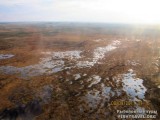 Васюганская равнина Васюганская равнина