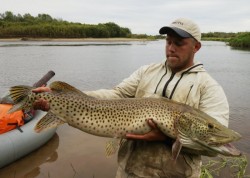 Амурская щука (Esox reicherti)