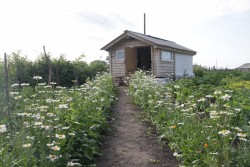  После рыбалки можно посетить жаркую баньку и посидеть за столом в чистом, уютном дворе.